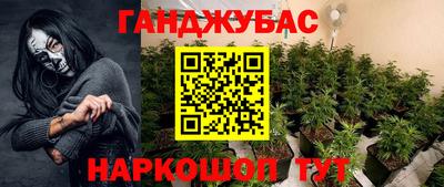 крисы Заводоуковск