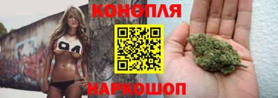 крисы Заводоуковск