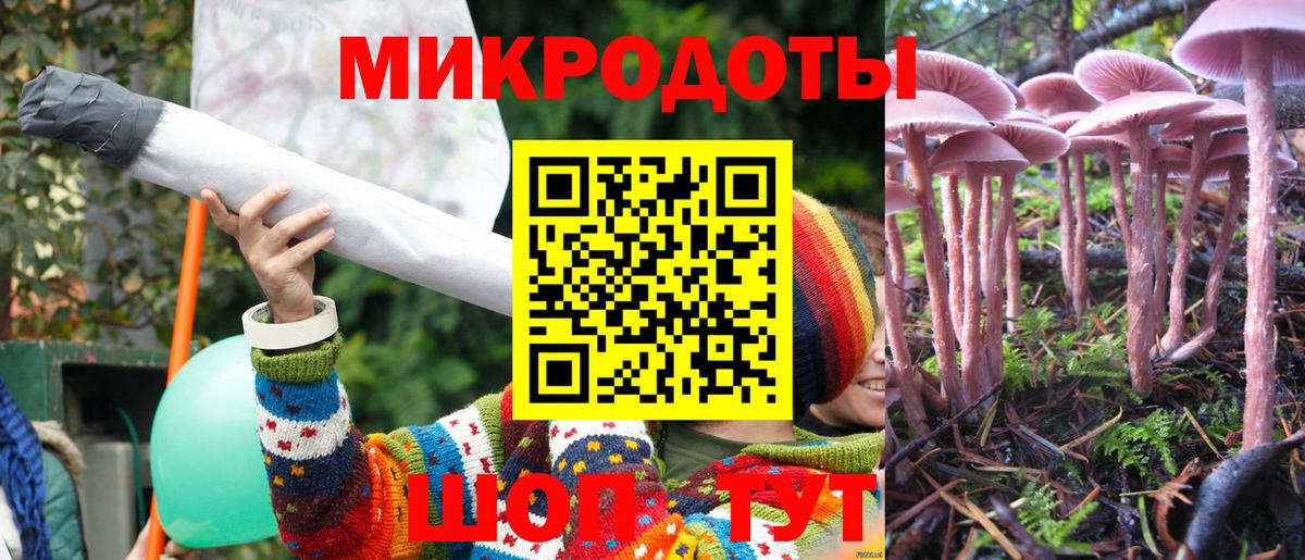 Малоярославец  Галлюциногенные грибы мухоморы  Вход с VPN 