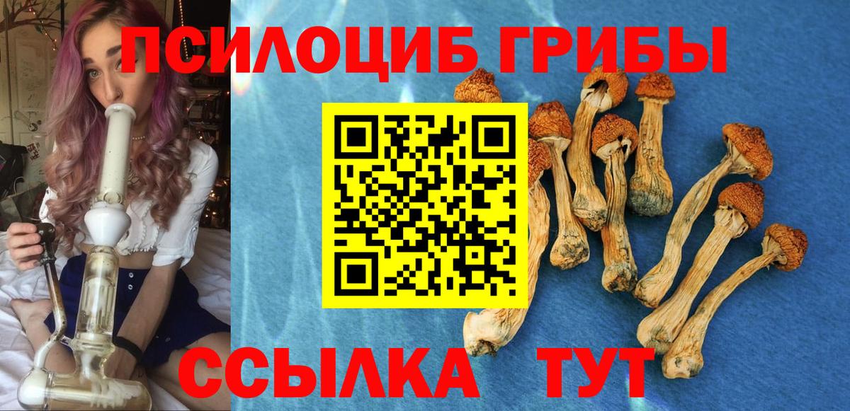 Галлюциногенные грибы прущие грибы Малоярославец