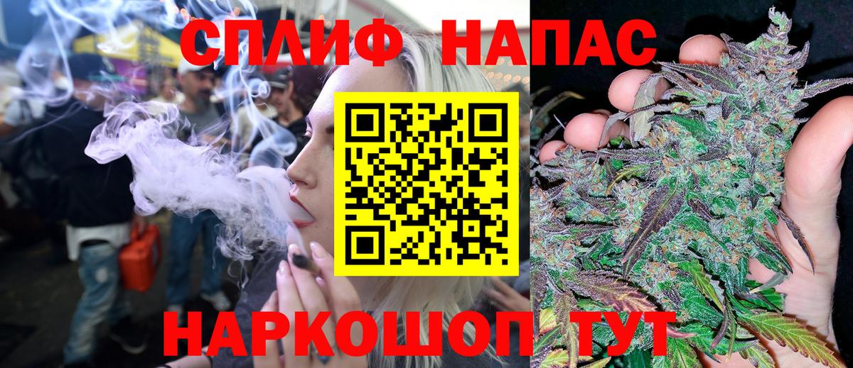 Шишки марихуана планчик  Вход с VPN  Канабис план  Марихуана LSD WEED  Шишки марихуана планчик  Малоярославец 